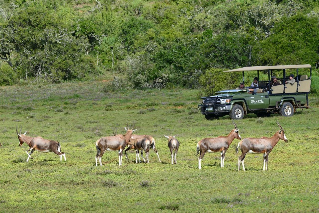 포트엘리자베스 Shamwari Eagles Crag 빌라 외부 사진